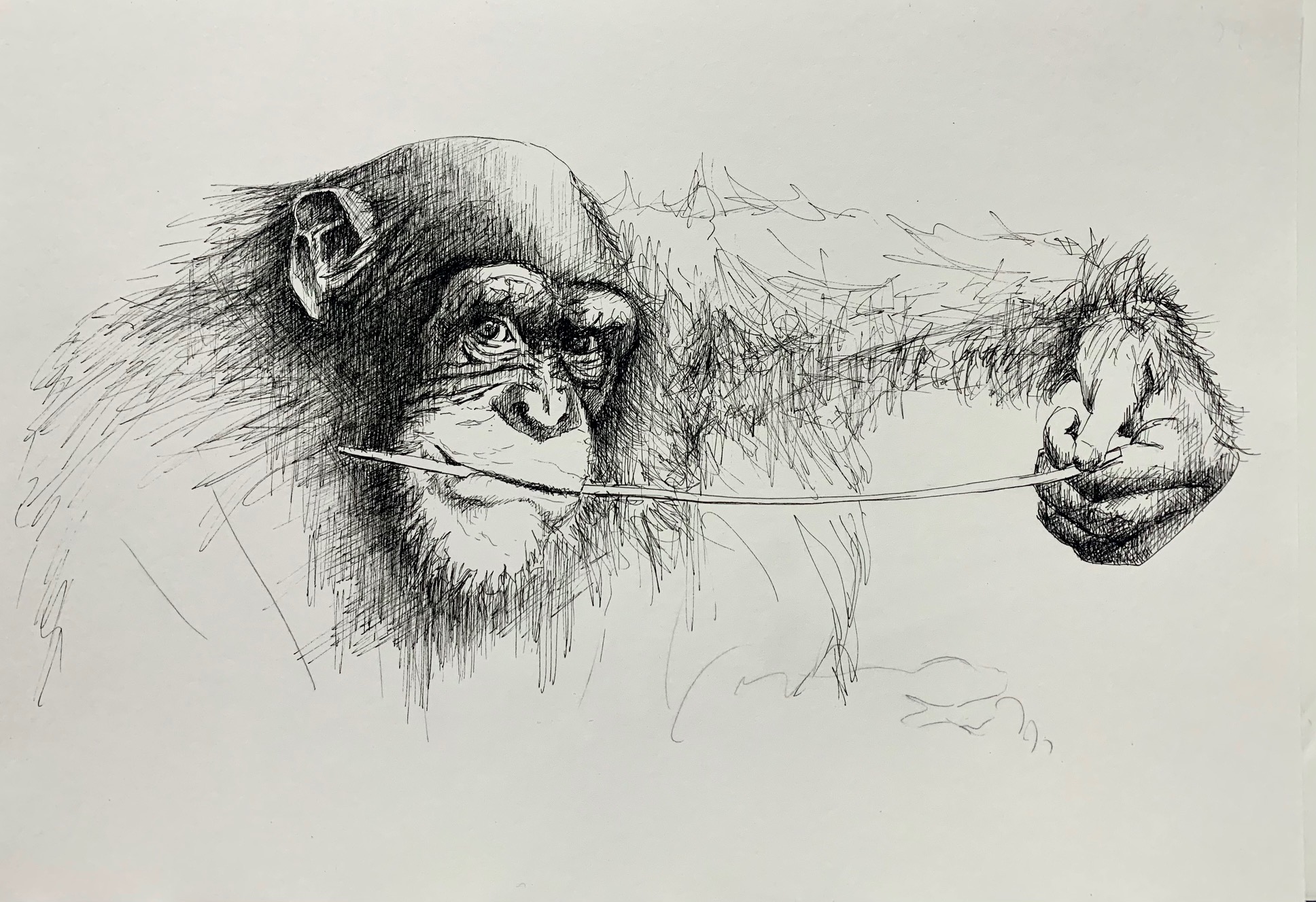 dibujos13