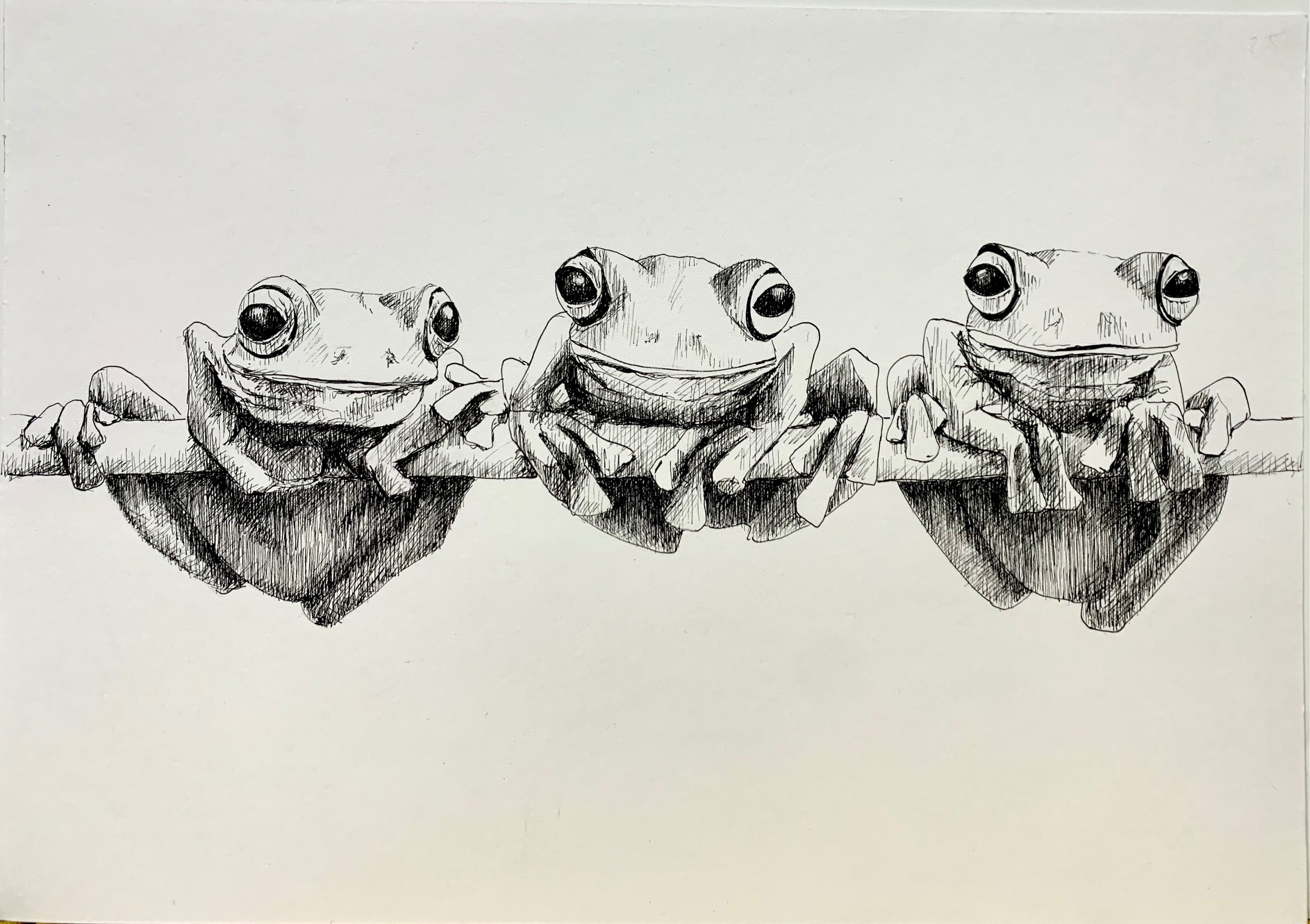 dibujos14