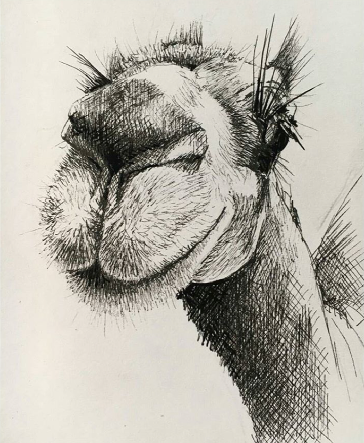 dibujos15
