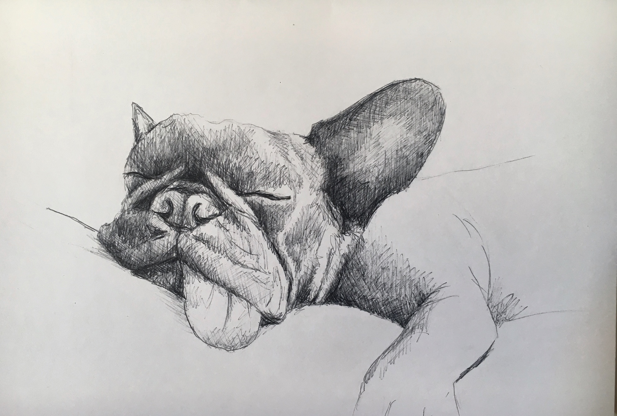 dibujos27