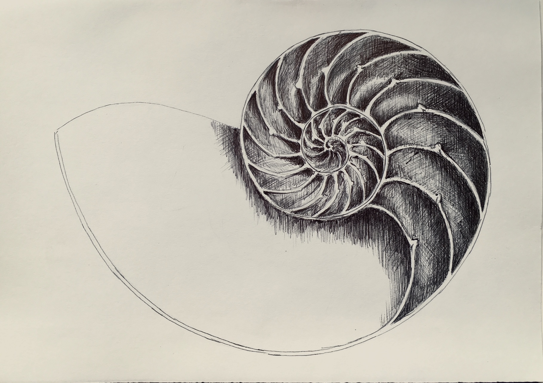 dibujos29