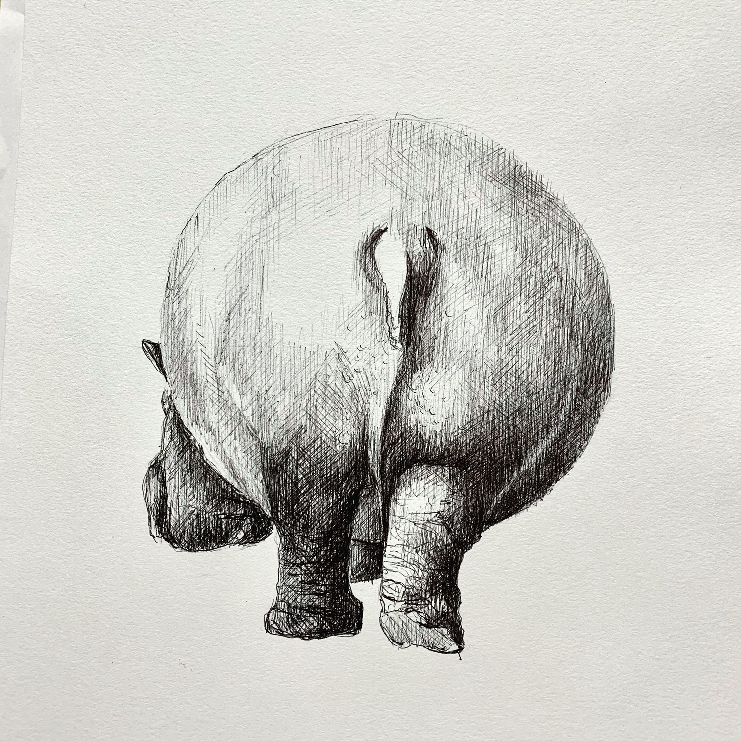 dibujos5