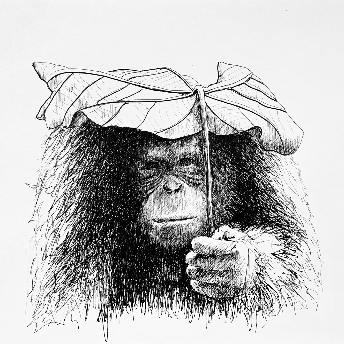 dibujos6