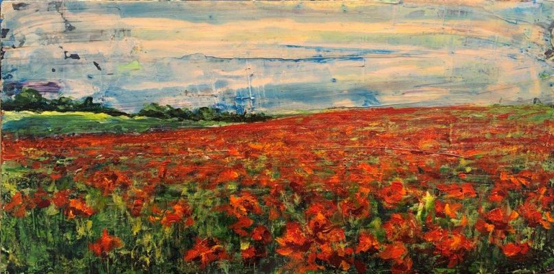 Amapolas 430x210