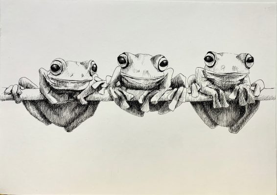 dibujos14