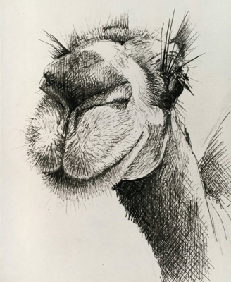 dibujos15