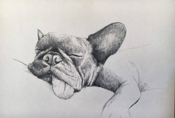 dibujos27