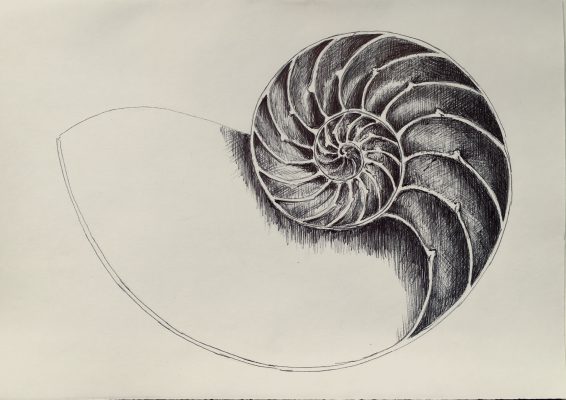 dibujos29