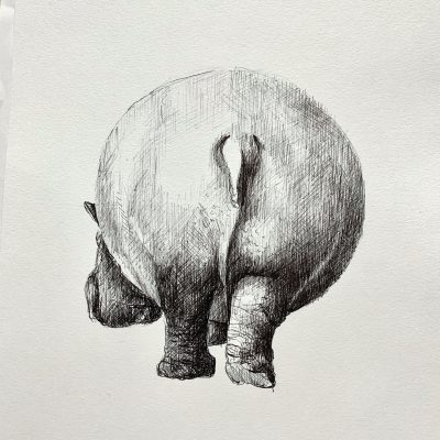 dibujos5