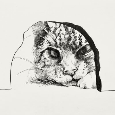roedor INKTOBER 20_300x210